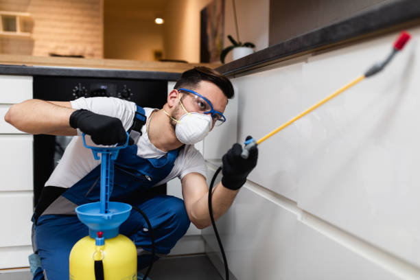 Best Bed Bug Extermination  in Bradley Beach, NJ