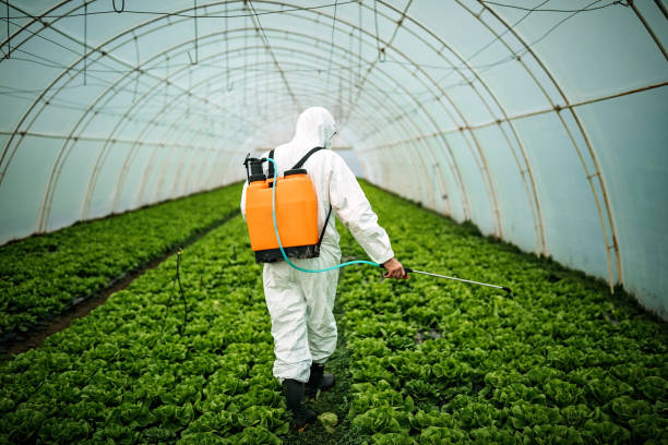 Best Pest Removal Services  in Bradley Beach, NJ