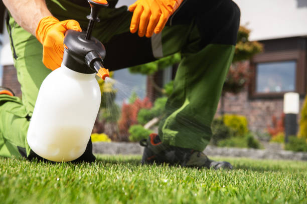 Best Flea Control Services  in Bradley Beach, NJ