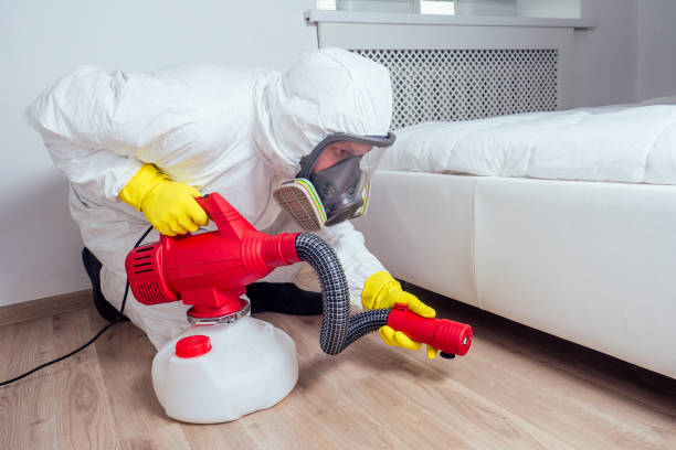 Best Pest Control for Restaurants  in Bradley Beach, NJ